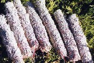 Sage bundles gathered from Mount Shasta