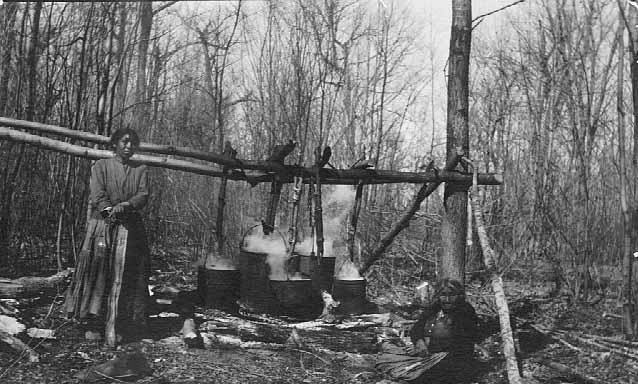 Indians making maple sugar, Cass Lake, 1905